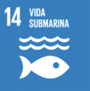 captura de pantalla 2026 01 31 a la(s) 12.10.42